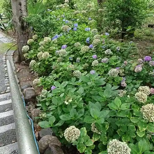 生國魂神社の庭園