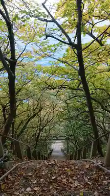 太田山神社（本殿）のその他建物