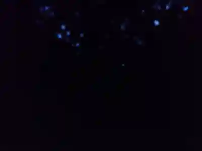 宗像大社(福岡県)