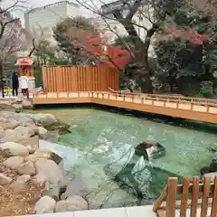 愛宕神社の庭園