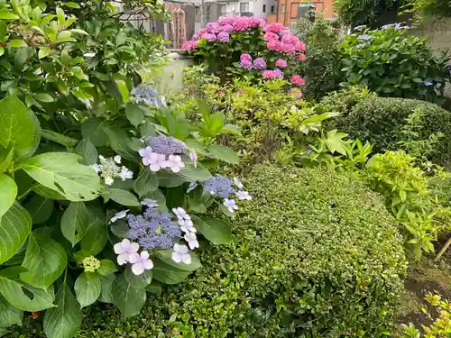金剛院(東京都)