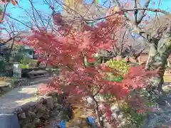 四天王寺(大阪府)