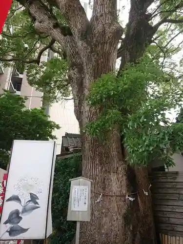 菅生神社の庭園