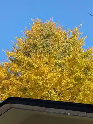 白幡八幡神社(神奈川県)