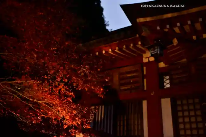 大山阿夫利神社(神奈川県)