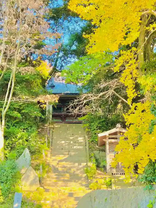 清滝寺の{uncategorized: "未分類", other: "その他", undefined: "問題あり", building: "その他建物", grave: "お墓", sacred_gate: "鳥居", guardian: "狛犬", statue: "像", buddha: "仏像", history: "歴史", nature: "自然", garden: "庭園", animal: "動物", pagoda: "塔", temizu: "手水舎", mountain_gate: "山門・神門", sanctuary: "本殿・本堂", subordinate: "末社・摂社", art: "芸術", scenery: "景色", jizo: "地蔵", ema: "絵馬", goshuin: "御朱印", omikuji: "おみくじ", items: "授与品その他", amulet: "お守り", goshuincho: "御朱印帳", eats: "食事", festival: "お祭り", votive_dance: "神楽", shichigosan: "七五三参", wedding: "結婚式", experience: "体験その他", initially: "初詣", around: "周辺", anti_infection: "感染症対策"}
