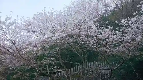 神明神社の自然