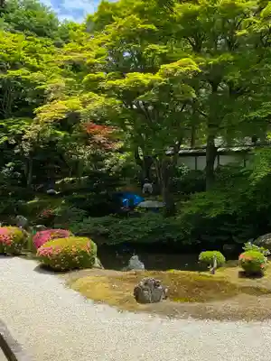 御寺 泉涌寺(京都府)