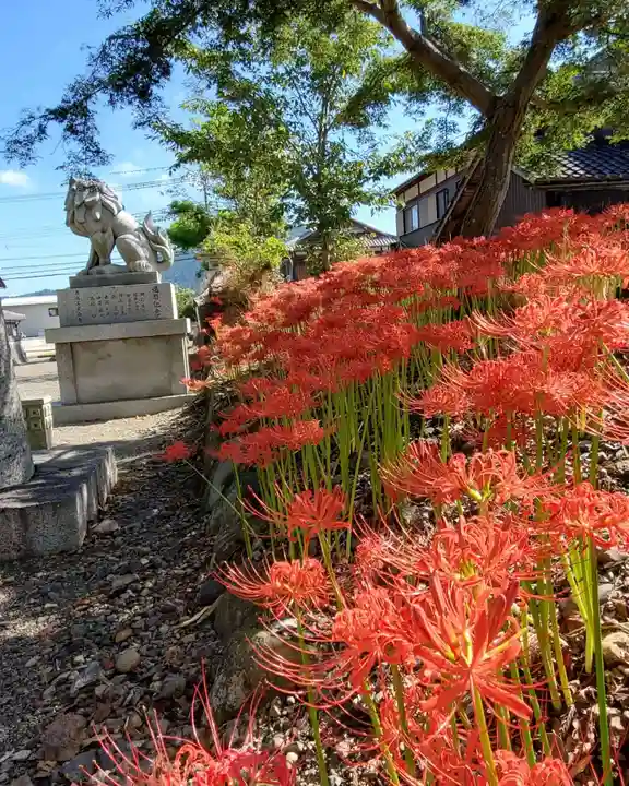 沙沙貴神社の自然