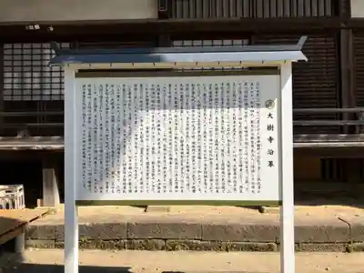 大樹寺（松安院大樹寺）の歴史