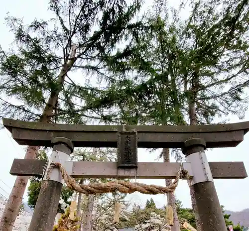 大山祇神社の鳥居