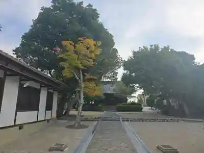 五字神社(大阪府)