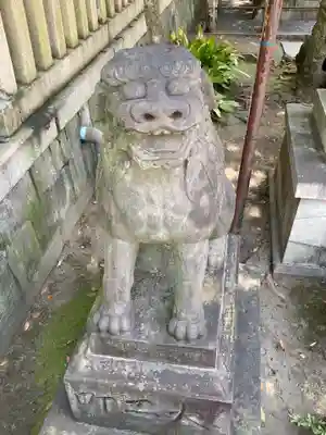 富岡八幡宮の狛犬