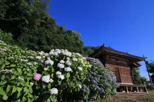 滑川不動尊の庭園