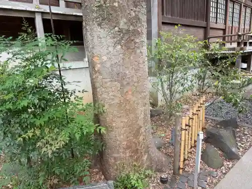 行田八幡神社の{uncategorized: "未分類", other: "その他", undefined: "問題あり", building: "その他建物", grave: "お墓", sacred_gate: "鳥居", guardian: "狛犬", statue: "像", buddha: "仏像", history: "歴史", nature: "自然", garden: "庭園", animal: "動物", pagoda: "塔", temizu: "手水舎", mountain_gate: "山門・神門", sanctuary: "本殿・本堂", subordinate: "末社・摂社", art: "芸術", scenery: "景色", jizo: "地蔵", ema: "絵馬", goshuin: "御朱印", omikuji: "おみくじ", items: "授与品その他", amulet: "お守り", goshuincho: "御朱印帳", eats: "食事", festival: "お祭り", votive_dance: "神楽", shichigosan: "七五三参", wedding: "結婚式", experience: "体験その他", initially: "初詣", around: "周辺", anti_infection: "感染症対策"}
