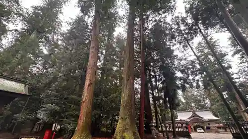 伊和神社(兵庫県)