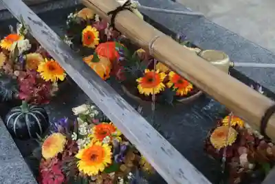 豊景神社の手水舎