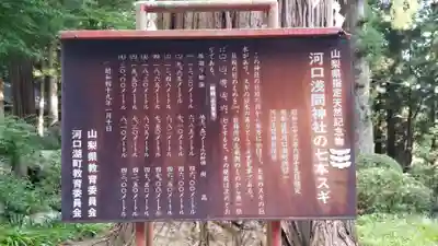 河口浅間神社の歴史