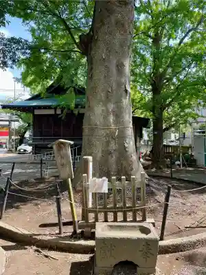小杉神社(神奈川県)