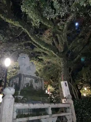 八坂神社(祇園さん)の狛犬