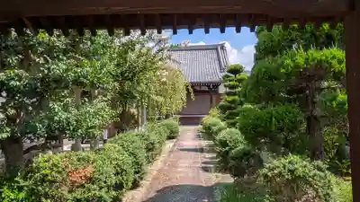 善福寺(京都府)