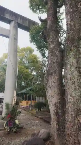 若宮神明社のその他建物