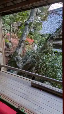 柳谷観音　楊谷寺(京都府)