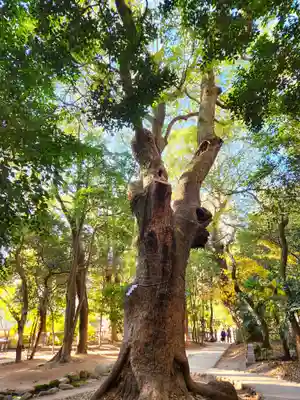 生田神社(兵庫県)