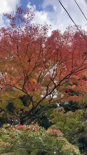 二尊院(京都府)