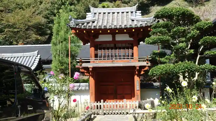 岡寺(龍蓋寺)(奈良県)