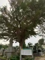 釈迦寺のその他建物