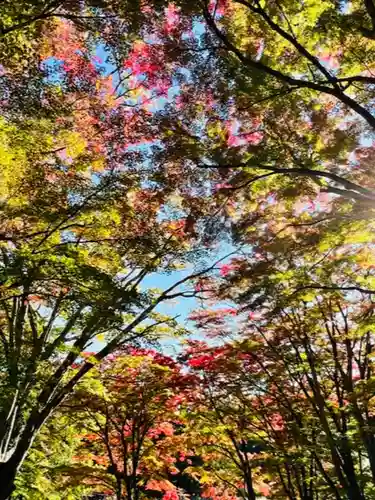 土津神社｜こどもと出世の神さまの景色