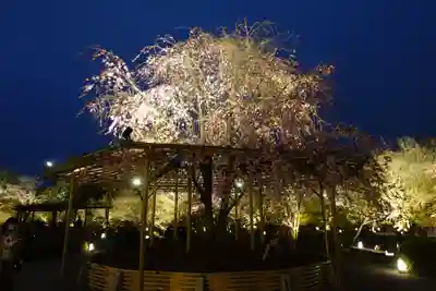 東寺（教王護国寺）(京都府)