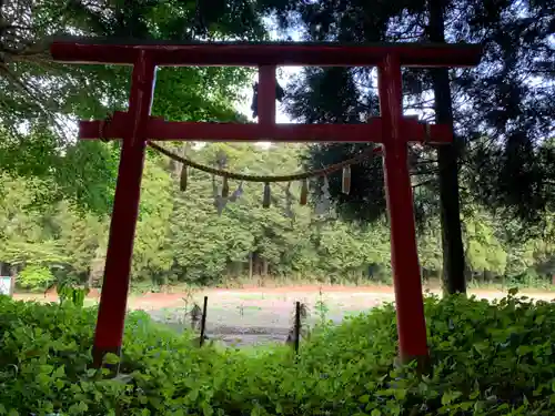 天照大神社の鳥居