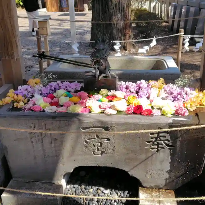 玉前神社の{uncategorized: "未分類", other: "その他", undefined: "問題あり", building: "その他建物", grave: "お墓", sacred_gate: "鳥居", guardian: "狛犬", statue: "像", buddha: "仏像", history: "歴史", nature: "自然", garden: "庭園", animal: "動物", pagoda: "塔", temizu: "手水舎", mountain_gate: "山門・神門", sanctuary: "本殿・本堂", subordinate: "末社・摂社", art: "芸術", scenery: "景色", jizo: "地蔵", ema: "絵馬", goshuin: "御朱印", omikuji: "おみくじ", items: "授与品その他", amulet: "お守り", goshuincho: "御朱印帳", eats: "食事", festival: "お祭り", votive_dance: "神楽", shichigosan: "七五三参", wedding: "結婚式", experience: "体験その他", initially: "初詣", around: "周辺", anti_infection: "感染症対策"}