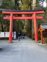 箱根神社の鳥居
