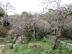 宝戒寺の建物その他