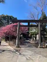 荏原神社の鳥居