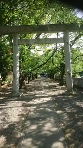 酒見神社の鳥居