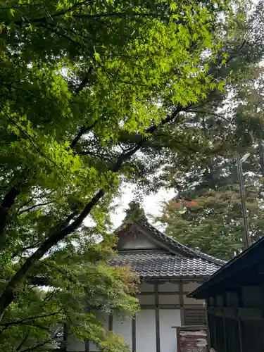 大矢田神社(岐阜県)