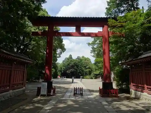 武蔵一宮氷川神社の鳥居