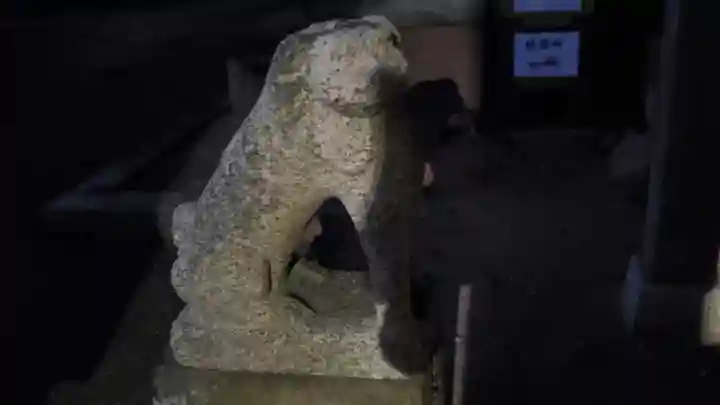 七社神社の狛犬