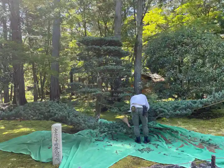 西芳寺(京都府)