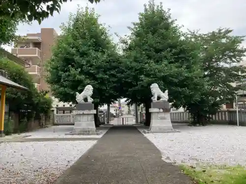 八王子神社の狛犬