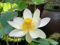 伊勢の国 四天王寺(三重県)