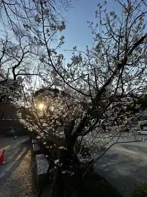 石清水八幡宮(京都府)