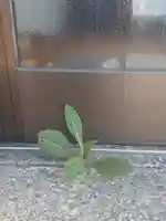 西方山極楽寺(岐阜県)