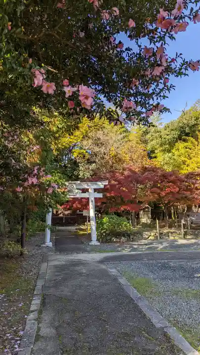 乙訓寺(京都府)