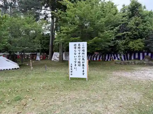 賀茂別雷神社（上賀茂神社）の{uncategorized: "未分類", other: "その他", undefined: "問題あり", building: "その他建物", grave: "お墓", sacred_gate: "鳥居", guardian: "狛犬", statue: "像", buddha: "仏像", history: "歴史", nature: "自然", garden: "庭園", animal: "動物", pagoda: "塔", temizu: "手水舎", mountain_gate: "山門・神門", sanctuary: "本殿・本堂", subordinate: "末社・摂社", art: "芸術", scenery: "景色", jizo: "地蔵", ema: "絵馬", goshuin: "御朱印", omikuji: "おみくじ", items: "授与品その他", amulet: "お守り", goshuincho: "御朱印帳", eats: "食事", festival: "お祭り", votive_dance: "神楽", shichigosan: "七五三参", wedding: "結婚式", experience: "体験その他", initially: "初詣", around: "周辺", anti_infection: "感染症対策"}