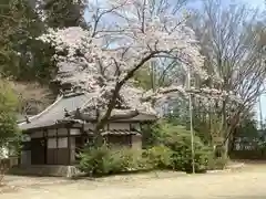 大崎八幡宮の建物その他